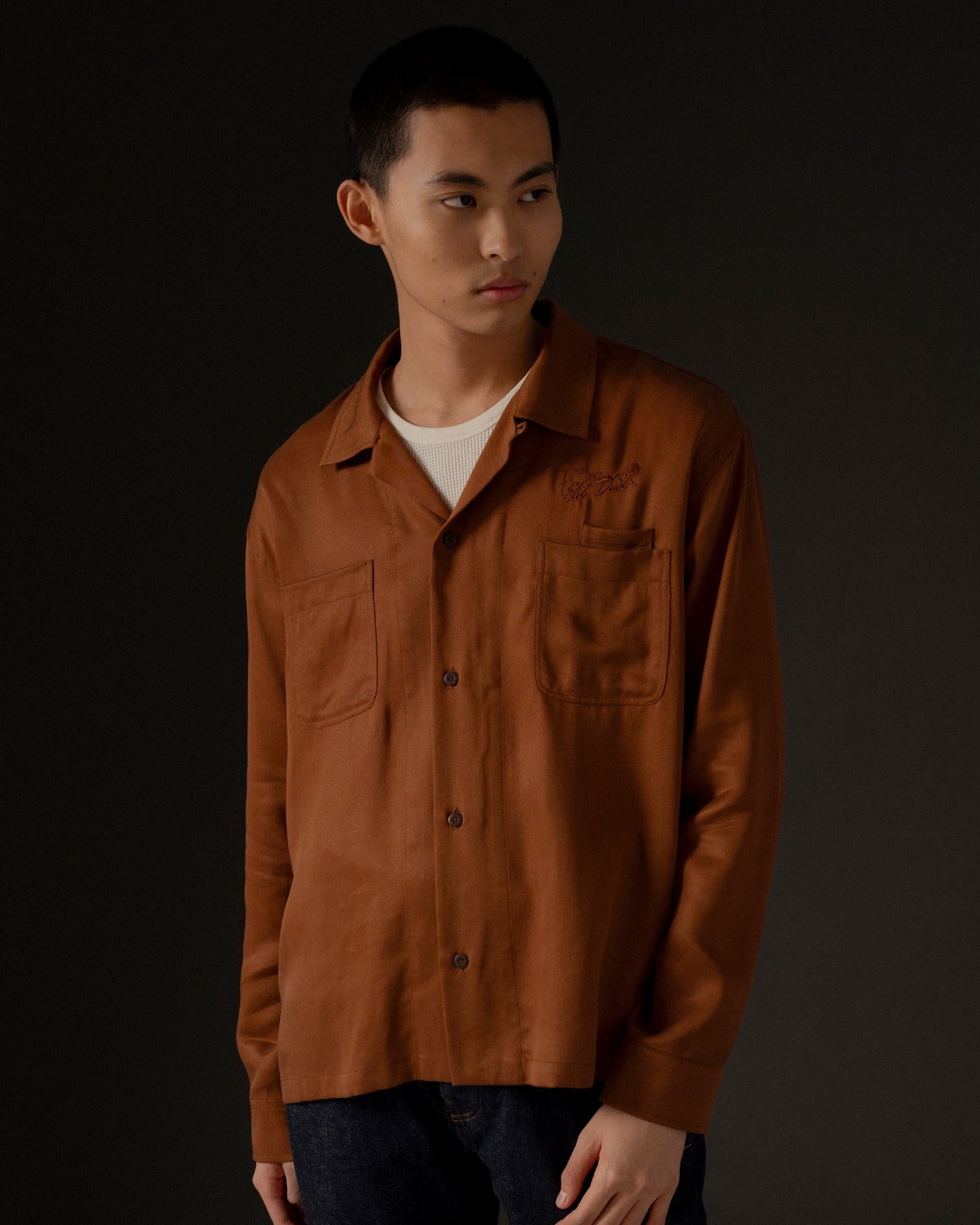 Havana Shirt Tencel Twill Brown